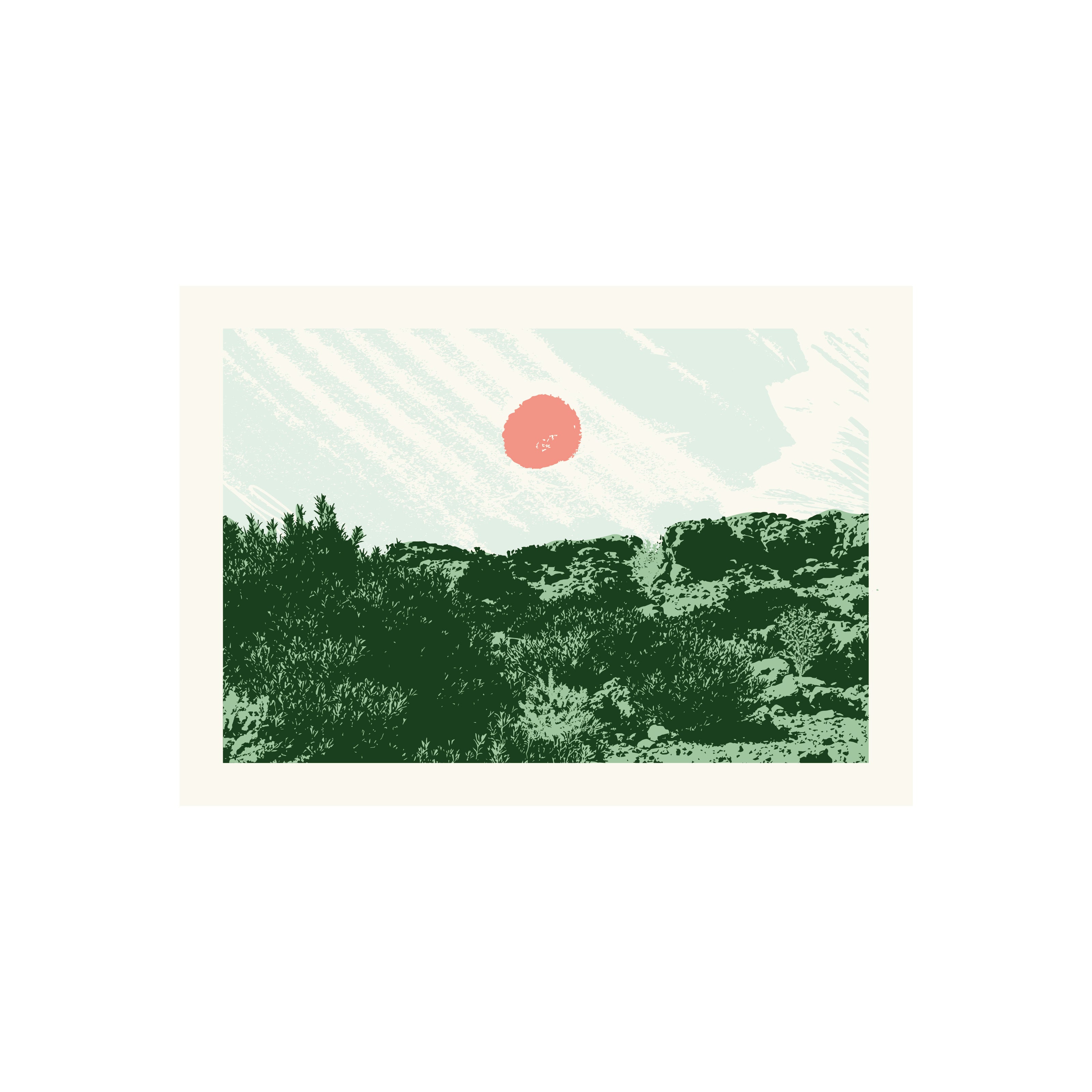 Carte postale : Les Garrigues - Carnet d'Été | Atelier Tuffery